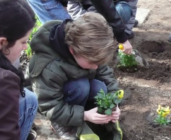 groen schoolplein