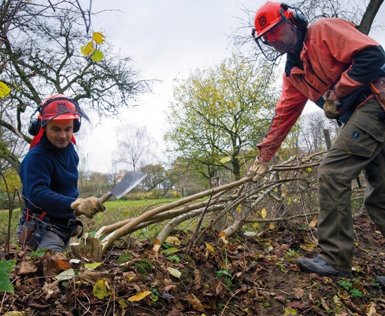 Loket Groenblauwe Diensten